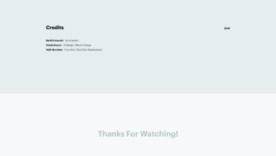 telemedicine platform